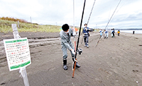 サケ釣り場所取り杭撤去 21年10月08日の記事 株式会社伝書鳩 経済の伝書鳩 北見 網走 オホーツクのフリーペーパー