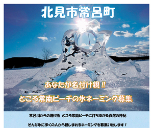  == 株式会社伝書鳩｜経済の伝書鳩｜北見・網走・オホーツクのフリーペーパー ==