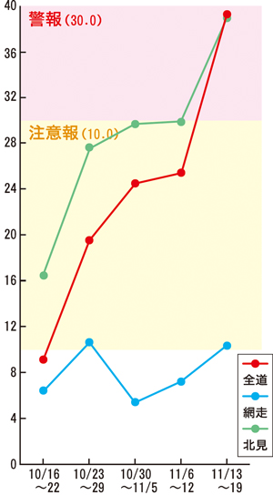  == 株式会社伝書鳩｜経済の伝書鳩｜北見・網走・オホーツクのフリーペーパー ==