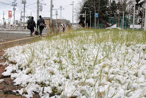 雪を横目に足早に部活に向かう高校生(25日、北見市中央町で) == 株式会社伝書鳩｜経済の伝書鳩｜北見・網走・オホーツクのフリーペーパー ==