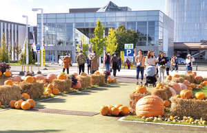 昨年のハロウィーンフェス == 株式会社伝書鳩｜経済の伝書鳩｜北見・網走・オホーツクのフリーペーパー ==