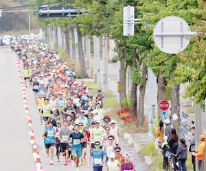 西小学校前の国道39号を走るフルマラソンのランナーたち == 株式会社伝書鳩｜経済の伝書鳩｜北見・網走・オホーツクのフリーペーパー ==