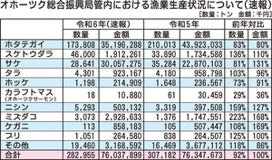  == 株式会社伝書鳩｜経済の伝書鳩｜北見・網走・オホーツクのフリーペーパー ==