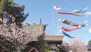  == 株式会社伝書鳩｜経済の伝書鳩｜北見・網走・オホーツクのフリーペーパー ==