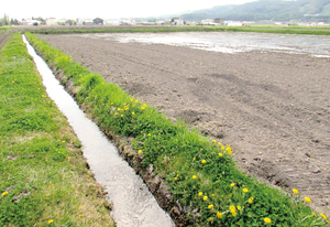 最下流域の北見市端野町二区の水田は16日頃、水が入った == 株式会社伝書鳩｜経済の伝書鳩｜北見・網走・オホーツクのフリーペーパー ==