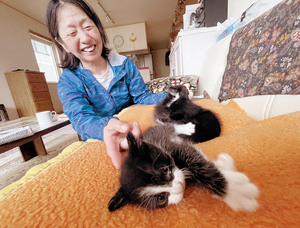 里親募集中の子猫を見守る代表の柳橋さん == 株式会社伝書鳩｜経済の伝書鳩｜北見・網走・オホーツクのフリーペーパー ==