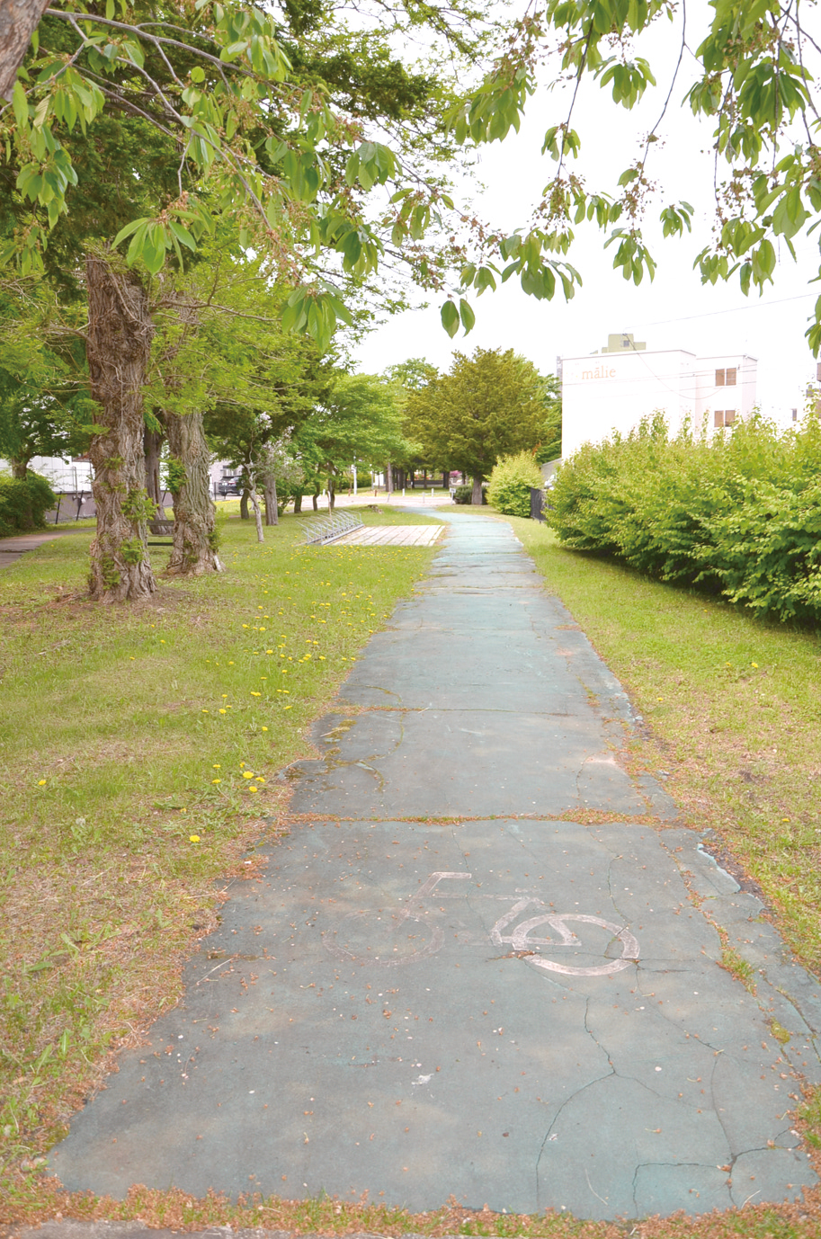 ② == 株式会社伝書鳩|経済の伝書鳩|北見・網走・オホーツクのフリーペーパー ==