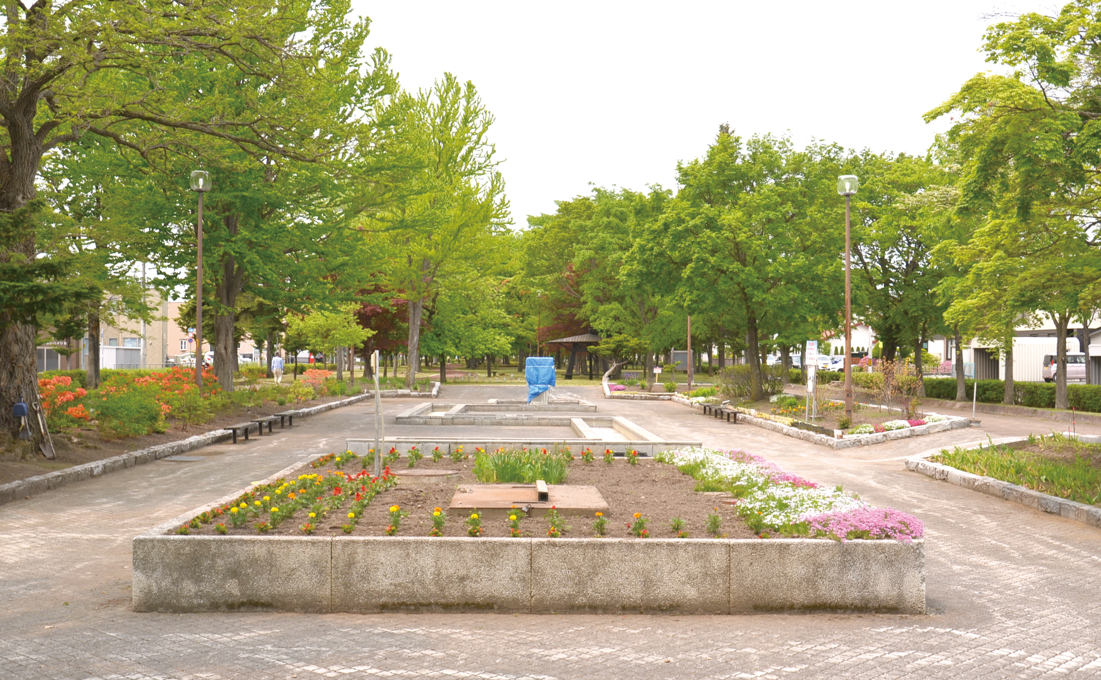 ⑥ == 株式会社伝書鳩|経済の伝書鳩|北見・網走・オホーツクのフリーペーパー ==