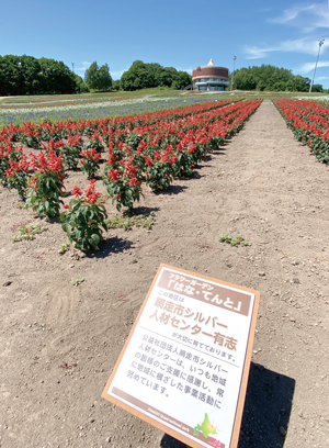 == 株式会社伝書鳩|経済の伝書鳩|北見・網走・オホーツクのフリーペーパー ==