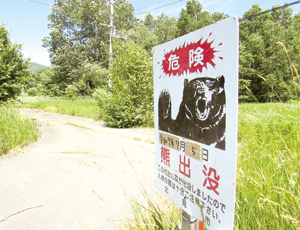 5日、市道沿いに設置された注意看板 == 株式会社伝書鳩｜経済の伝書鳩｜北見・網走・オホーツクのフリーペーパー ==