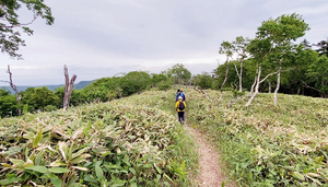 北海道東トレイル「摩周湖第一展望台→裏摩周展望台」の散策ツアー(今年6月) == 株式会社伝書鳩｜経済の伝書鳩｜北見・網走・オホーツクのフリーペーパー ==