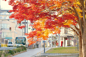 マルゲンぽん鱈小公園(北見) == 株式会社伝書鳩｜経済の伝書鳩｜北見・網走・オホーツクのフリーペーパー ==