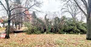  == 株式会社伝書鳩｜経済の伝書鳩｜北見・網走・オホーツクのフリーペーパー ==