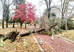  == 株式会社伝書鳩｜経済の伝書鳩｜北見・網走・オホーツクのフリーペーパー ==