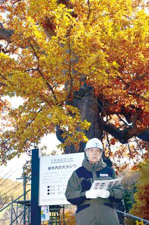 == 株式会社伝書鳩|経済の伝書鳩|北見・網走・オホーツクのフリーペーパー ==
