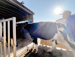 == 株式会社伝書鳩|経済の伝書鳩|北見・網走・オホーツクのフリーペーパー ==