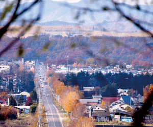 美幌町都橋国道243号 == 株式会社伝書鳩｜経済の伝書鳩｜北見・網走・オホーツクのフリーペーパー ==