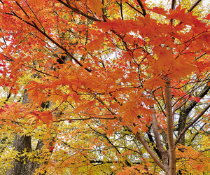 ピアソン記念館(北見) == 株式会社伝書鳩｜経済の伝書鳩｜北見・網走・オホーツクのフリーペーパー ==
