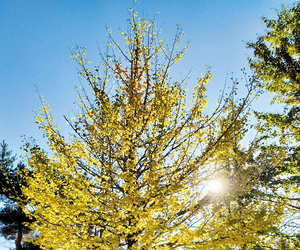 石北大通(北見) == 株式会社伝書鳩｜経済の伝書鳩｜北見・網走・オホーツクのフリーペーパー ==