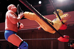 斗猛矢選手(左)にキックを決めるルー・ルルル選手 == 株式会社伝書鳩|経済の伝書鳩|北見・網走・オホーツクのフリーペーパー ==