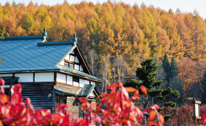 仁頃はっか公園(北見) == 株式会社伝書鳩｜経済の伝書鳩｜北見・網走・オホーツクのフリーペーパー ==