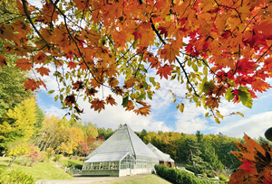 北見市緑のセンター == 株式会社伝書鳩｜経済の伝書鳩｜北見・網走・オホーツクのフリーペーパー ==
