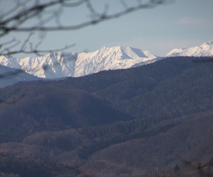  == 株式会社伝書鳩｜経済の伝書鳩｜北見・網走・オホーツクのフリーペーパー ==