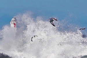  == 株式会社伝書鳩｜経済の伝書鳩｜北見・網走・オホーツクのフリーペーパー ==