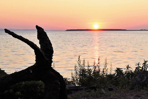  == 株式会社伝書鳩｜経済の伝書鳩｜北見・網走・オホーツクのフリーペーパー ==