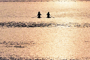  == 株式会社伝書鳩｜経済の伝書鳩｜北見・網走・オホーツクのフリーペーパー ==