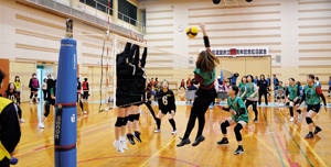 == 株式会社伝書鳩|経済の伝書鳩|北見・網走・オホーツクのフリーペーパー ==