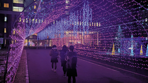 == 株式会社伝書鳩|経済の伝書鳩|北見・網走・オホーツクのフリーペーパー ==