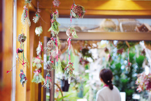  == 株式会社伝書鳩｜経済の伝書鳩｜北見・網走・オホーツクのフリーペーパー ==