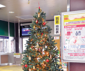  == 株式会社伝書鳩｜経済の伝書鳩｜北見・網走・オホーツクのフリーペーパー ==