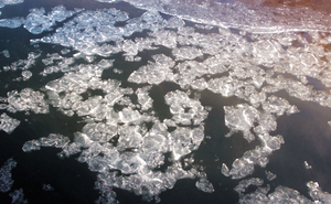 == 株式会社伝書鳩|経済の伝書鳩|北見・網走・オホーツクのフリーペーパー ==