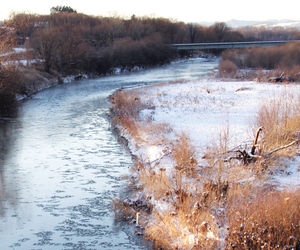 白鳥夫婦も〝流氷〟から退避(5日午前7時半ころ、北見市端野) == 株式会社伝書鳩|経済の伝書鳩|北見・網走・オホーツクのフリーペーパー ==