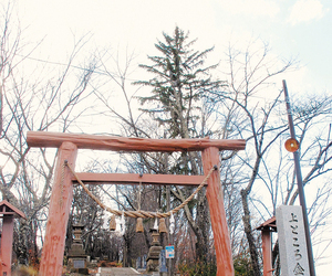  == 株式会社伝書鳩｜経済の伝書鳩｜北見・網走・オホーツクのフリーペーパー ==