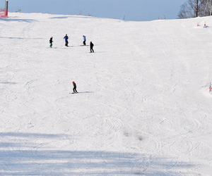 == 株式会社伝書鳩｜経済の伝書鳩｜北見・網走・オホーツクのフリーペーパー ==