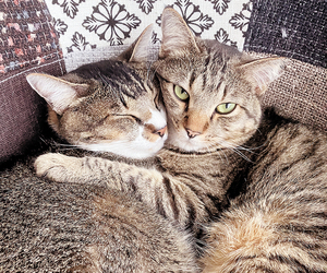  == 株式会社伝書鳩｜経済の伝書鳩｜北見・網走・オホーツクのフリーペーパー ==