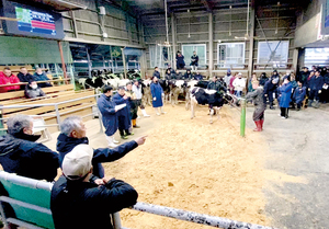 人差し指をさすなどして応札額を示す参加者 == 株式会社伝書鳩｜経済の伝書鳩｜北見・網走・オホーツクのフリーペーパー ==