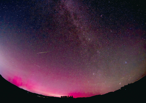  == 株式会社伝書鳩｜経済の伝書鳩｜北見・網走・オホーツクのフリーペーパー ==