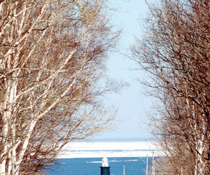 能取岬の灯台と流氷 == 株式会社伝書鳩｜経済の伝書鳩｜北見・網走・オホーツクのフリーペーパー ==