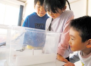  == 株式会社伝書鳩｜経済の伝書鳩｜北見・網走・オホーツクのフリーペーパー ==