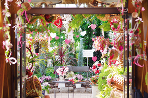  == 株式会社伝書鳩｜経済の伝書鳩｜北見・網走・オホーツクのフリーペーパー ==