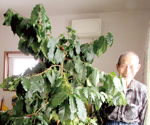 ① == 株式会社伝書鳩|経済の伝書鳩|北見・網走・オホーツクのフリーペーパー ==