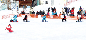  == 株式会社伝書鳩｜経済の伝書鳩｜北見・網走・オホーツクのフリーペーパー ==