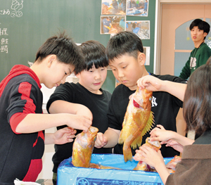  == 株式会社伝書鳩｜経済の伝書鳩｜北見・網走・オホーツクのフリーペーパー ==