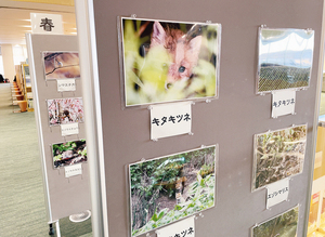  == 株式会社伝書鳩｜経済の伝書鳩｜北見・網走・オホーツクのフリーペーパー ==