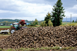  == 株式会社伝書鳩｜経済の伝書鳩｜北見・網走・オホーツクのフリーペーパー ==