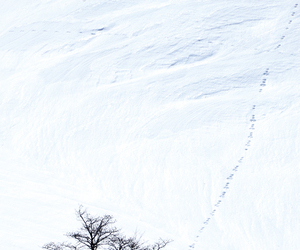  == 株式会社伝書鳩｜経済の伝書鳩｜北見・網走・オホーツクのフリーペーパー ==